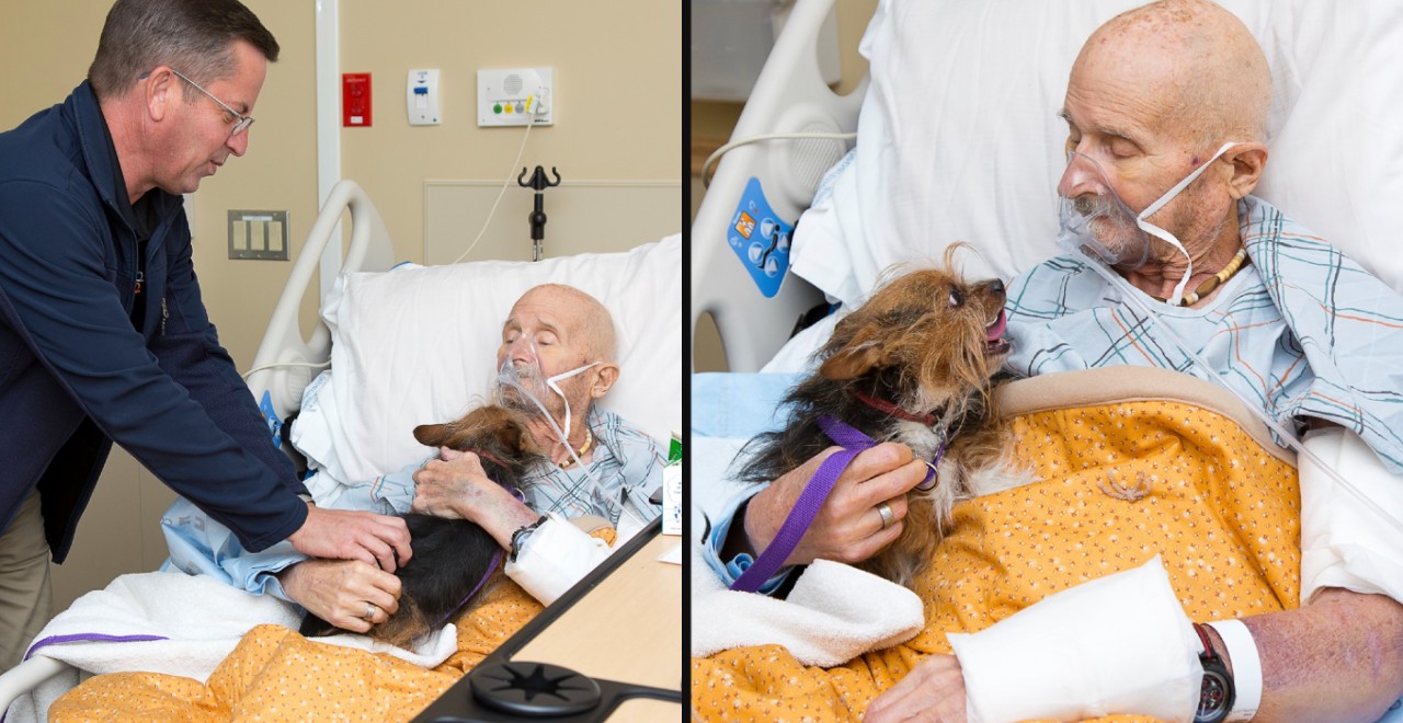 Veteran in Hospice Care Has Final Wish Granted, Sees Beloved Dog One Last Time