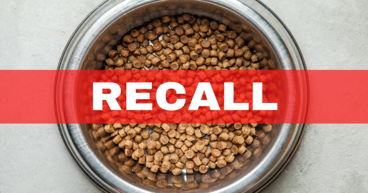 Urgent Recall: Popular Dog Food Brand Pulled from Shelves Due to Metal Contamination Concerns