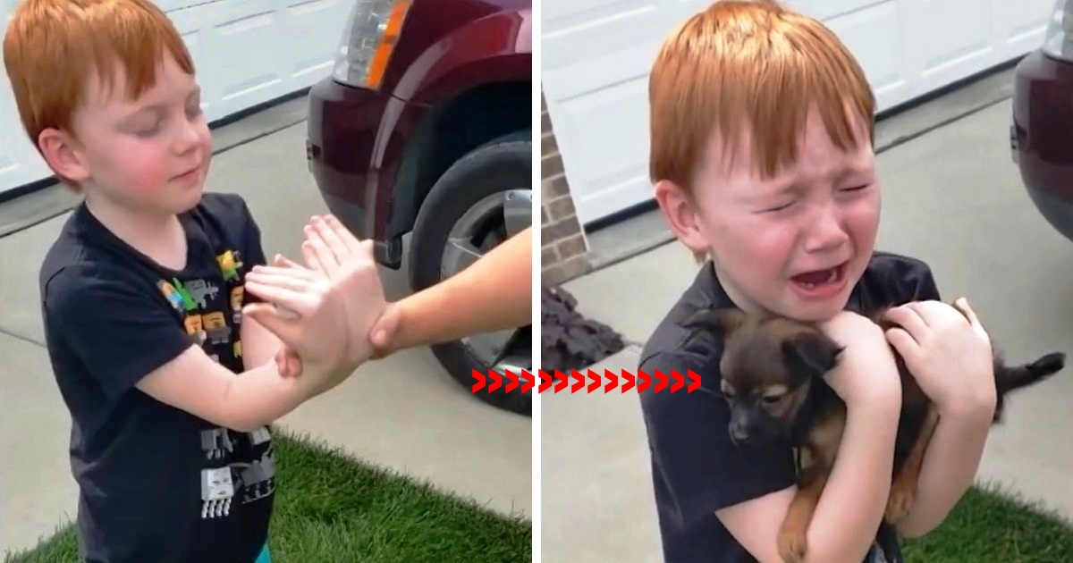 Boy Was Saving His Money To Adopt Puppy, Watch When Grandma Asks Him To Close His Eyes & Stretch His Arms