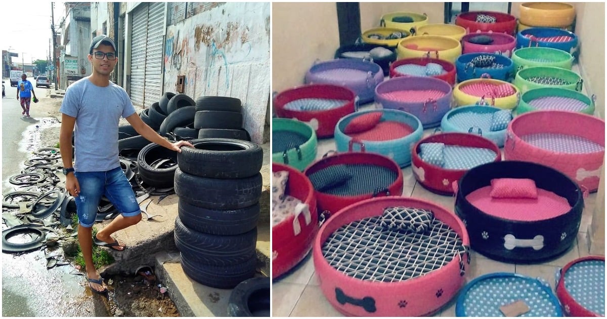 This is How Old Tires Are Giving Stray Dogs Warm, Cozy Beds!