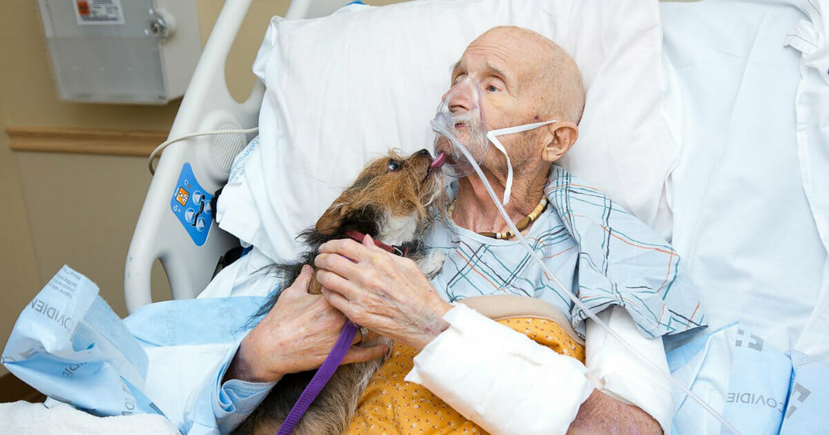 Terminally ill veteran’s last wish fulfilled: Reuniting with his beloved dog in hospice