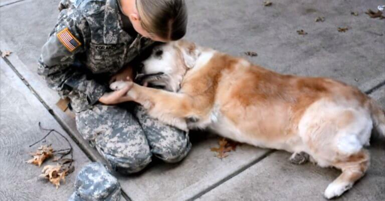 Old, deaf dog cries tears of joy to see owner return from military service after months apart